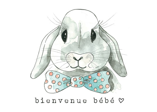BIENVENUE BÉBÉ LAPIN - Stéphanie Renière illustration